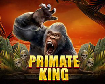 Primate King Casino Slot Review!