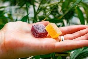 Why CBD Gummies Are the Perfect Addition to Your Daily Life