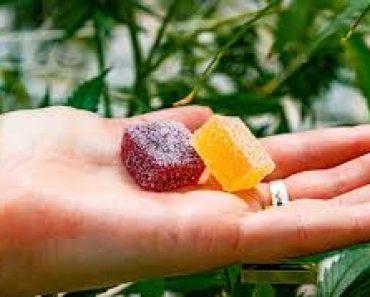 Why CBD Gummies Are the Perfect Addition to Your Daily Life